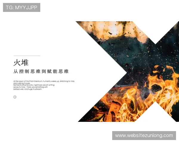 Z6人生：在数字时代实现自我价值的全新路径